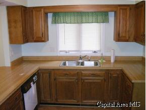 6 Sarah Avenue Springfield, IL 62703 - Photo 5 of 9