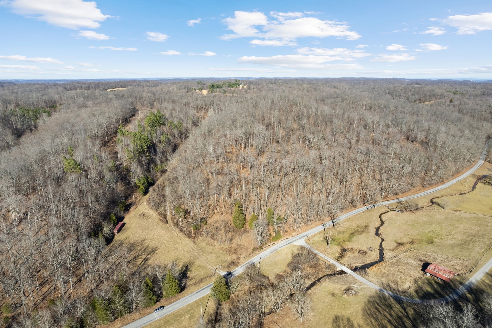 1365 Blue Branch Road Lynnville, TN 38472 - Photo 1 of 16 a view of a dry yard with wooden fence