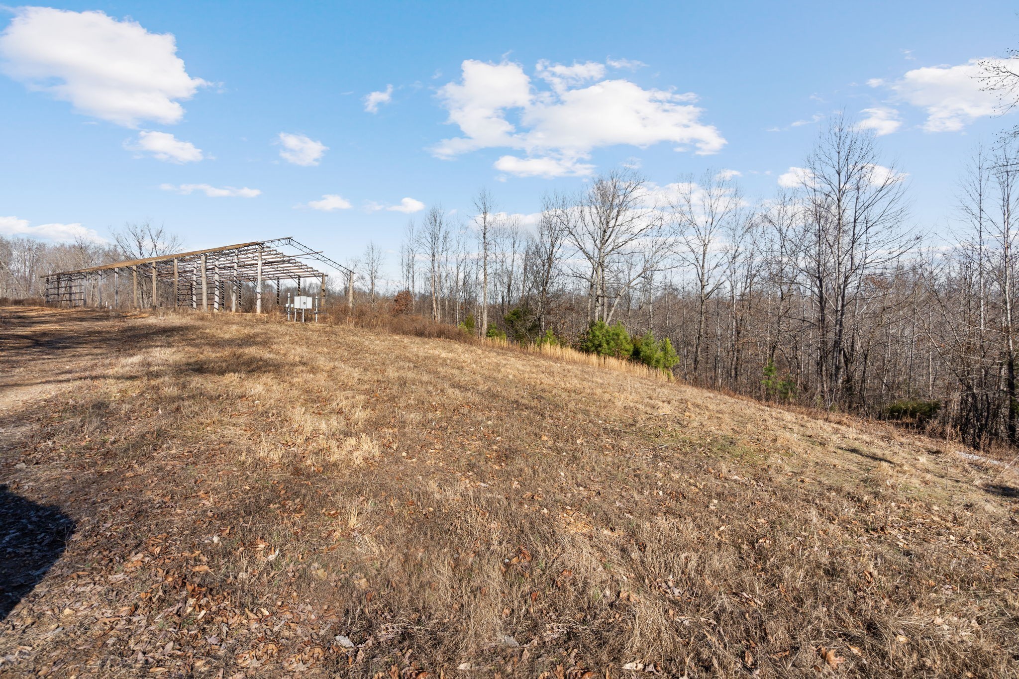 1365 Blue Branch Road Lynnville, TN 38472 - Photo 11 of 16 a view of a yard with a snow