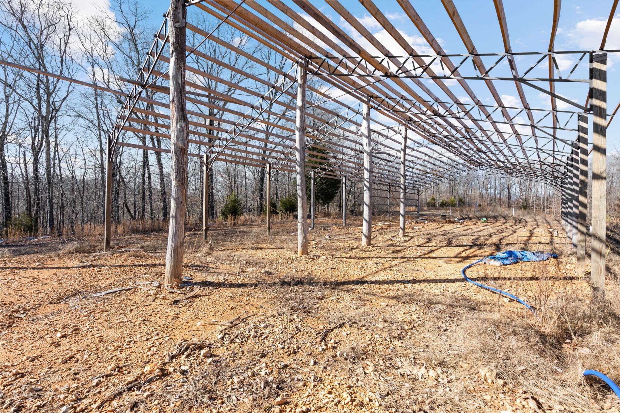 1365 Blue Branch Road Lynnville, TN 38472 - Photo 12 of 16 a view of a backyard with wooden fence