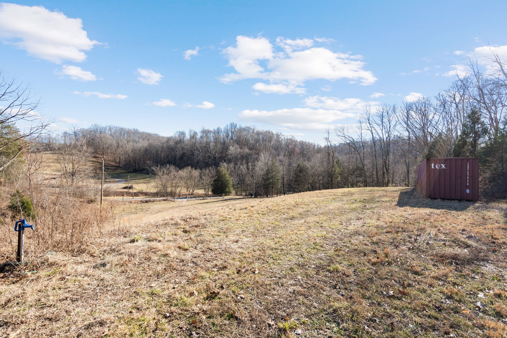 1365 Blue Branch Road Lynnville, TN 38472 - Photo 14 of 16 a view of a dry yard with wooden fence