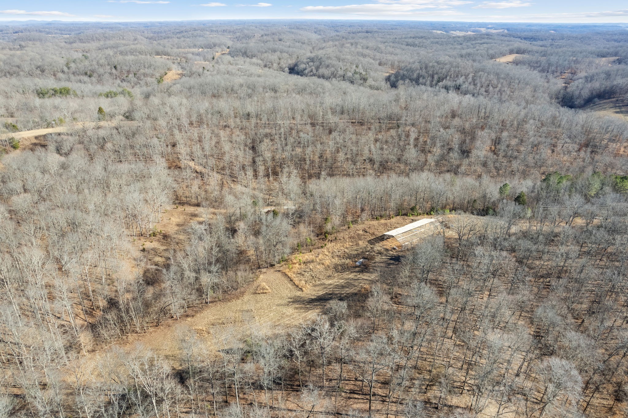 1365 Blue Branch Road Lynnville, TN 38472 - Photo 3 of 16 a view of a dry yard with trees