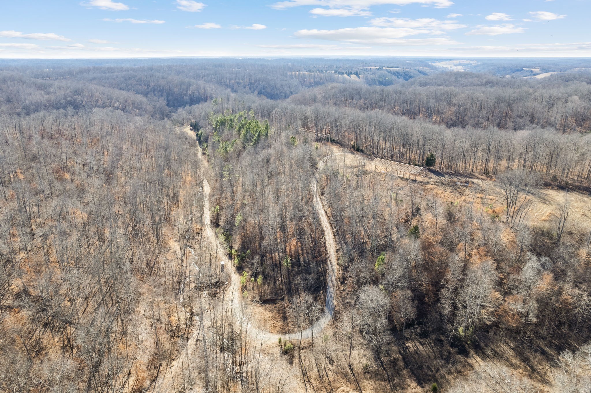 1365 Blue Branch Road Lynnville, TN 38472 - Photo 4 of 16 a view of a dry yard with green space