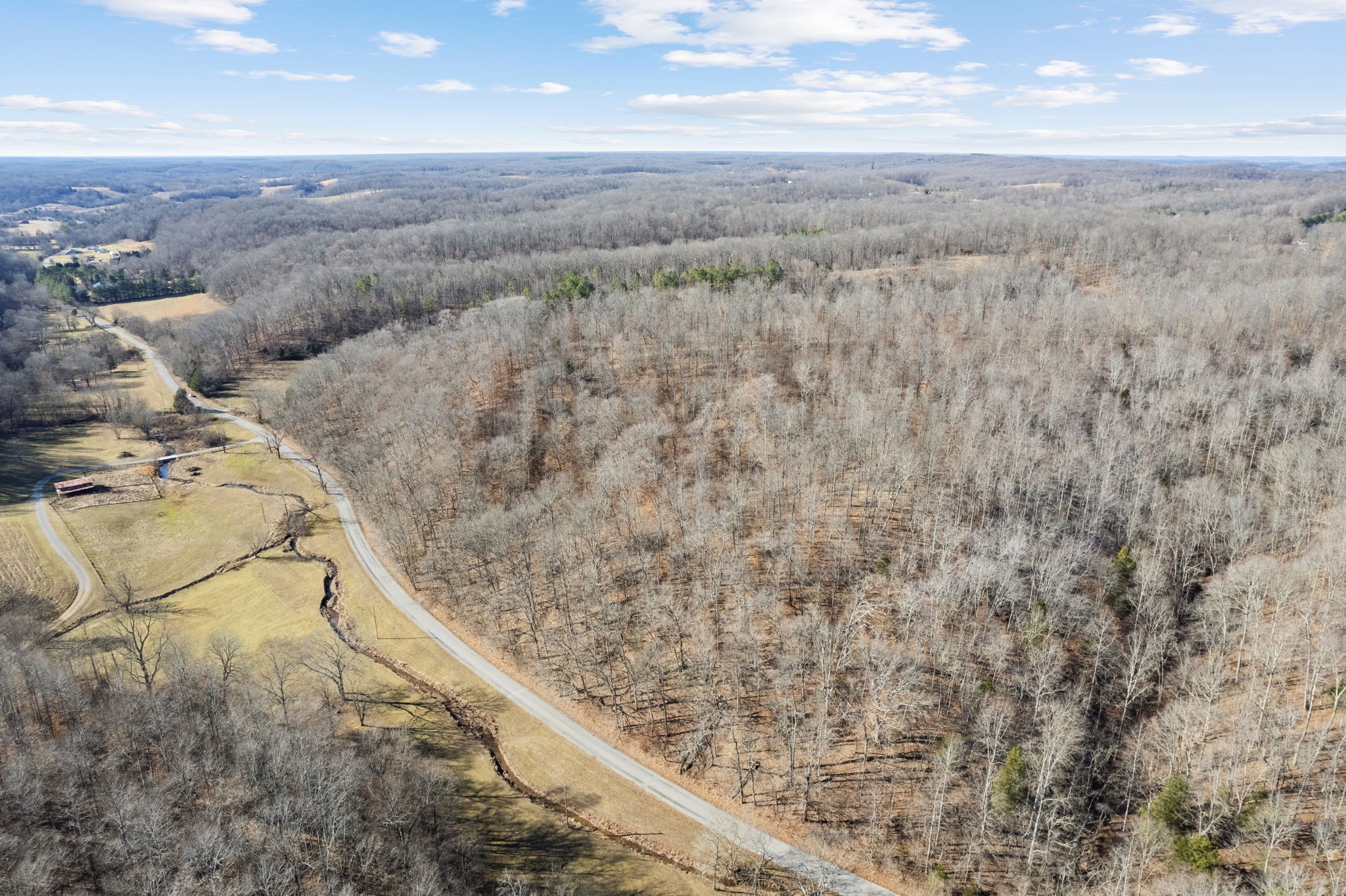 1365 Blue Branch Road Lynnville, TN 38472 - Photo 5 of 16 a view of roof and mountain
