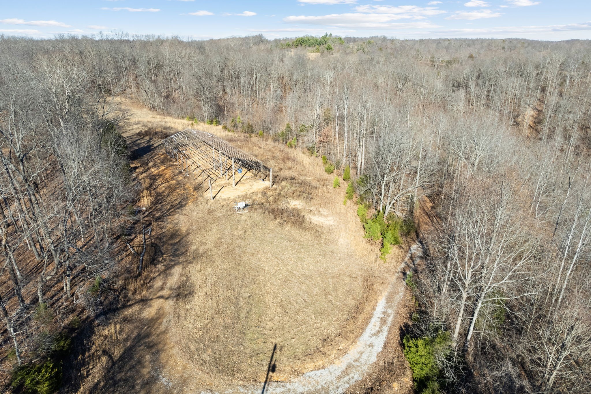 1365 Blue Branch Road Lynnville, TN 38472 - Photo 7 of 16 a view of a dry yard with trees in the background