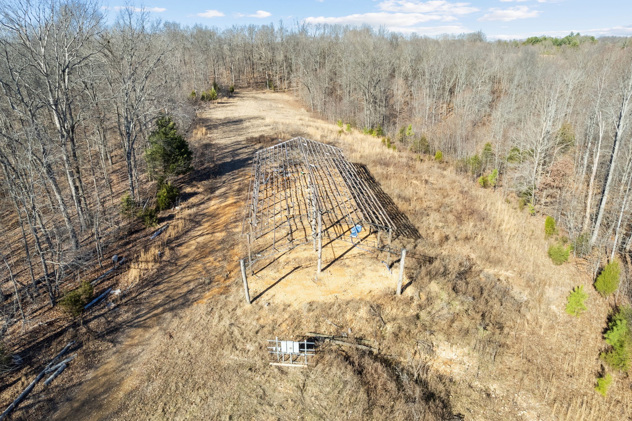 1365 Blue Branch Road Lynnville, TN 38472 - Photo 8 of 16 a view of mountain view with trees