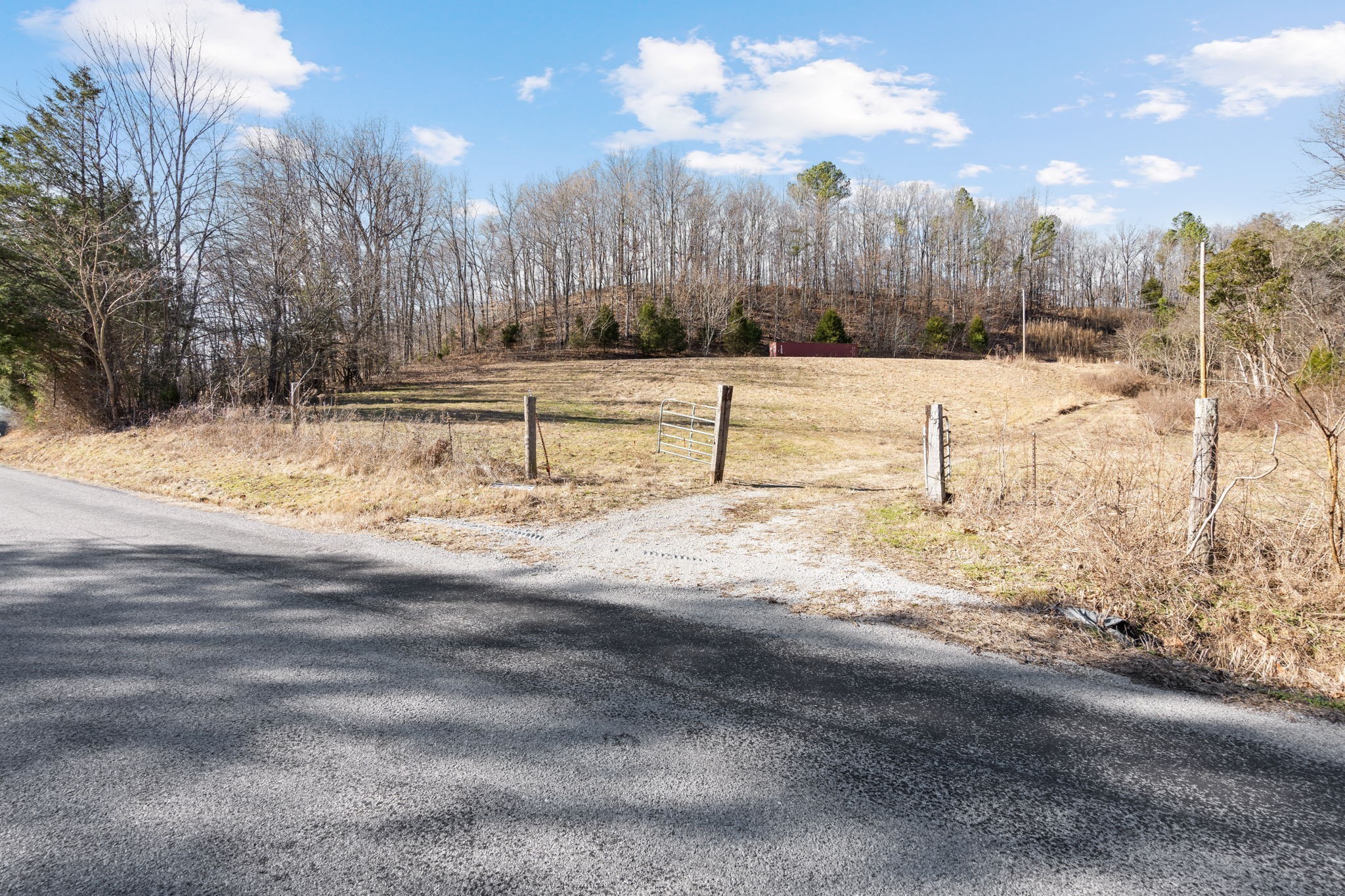 1365 Blue Branch Road Lynnville, TN 38472 - Photo 9 of 16 a view of a yard with trees