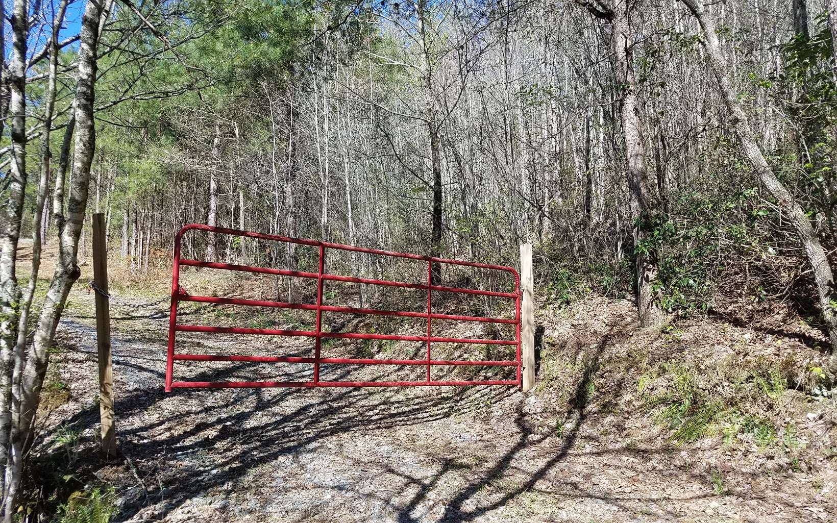 Brush Creek Road Dry Branch, GA 31020 - Photo 1 of 1 Main View