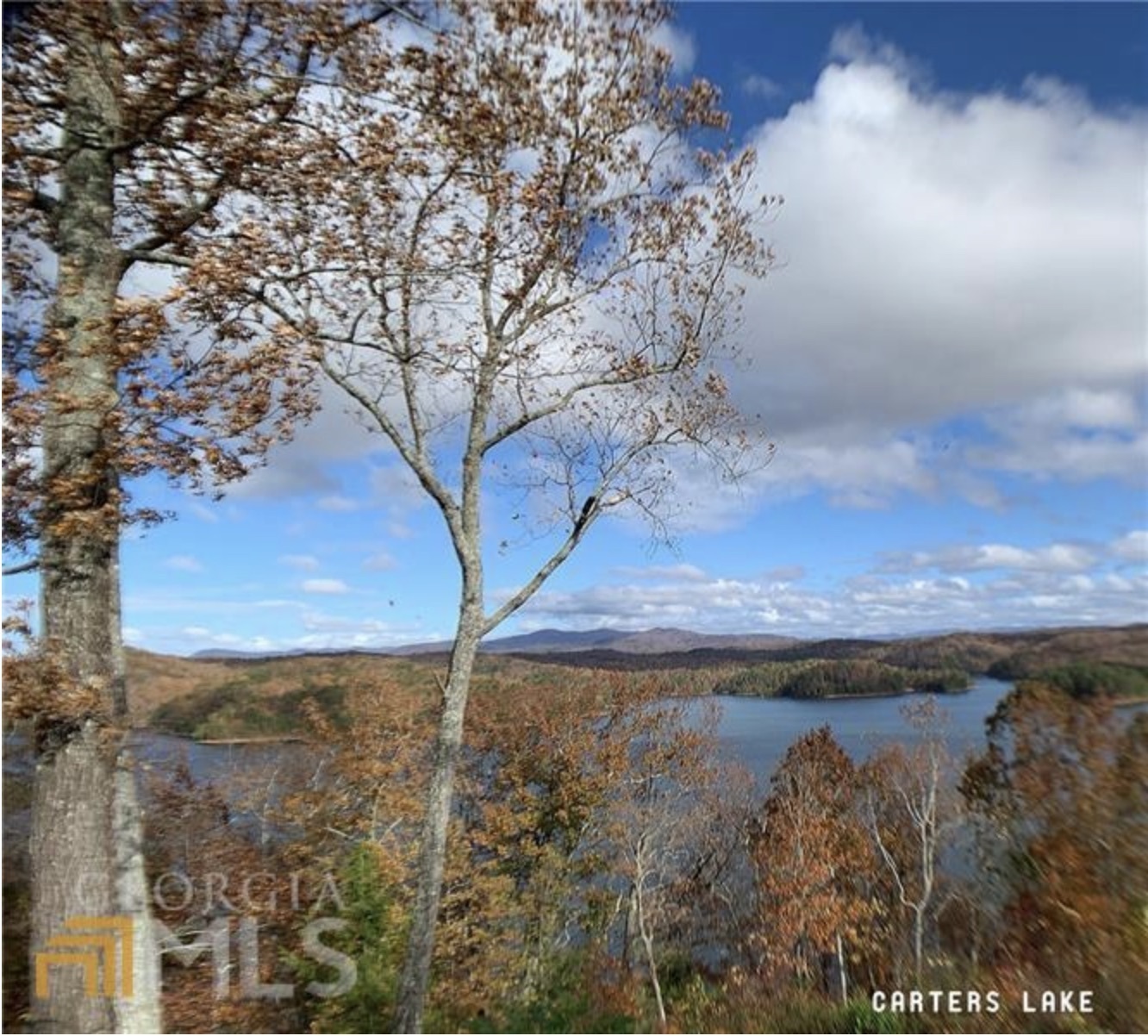 493 Naomi Court Ranger, GA 30734 - Photo 32 of 32 a view of a yard with an outdoor space