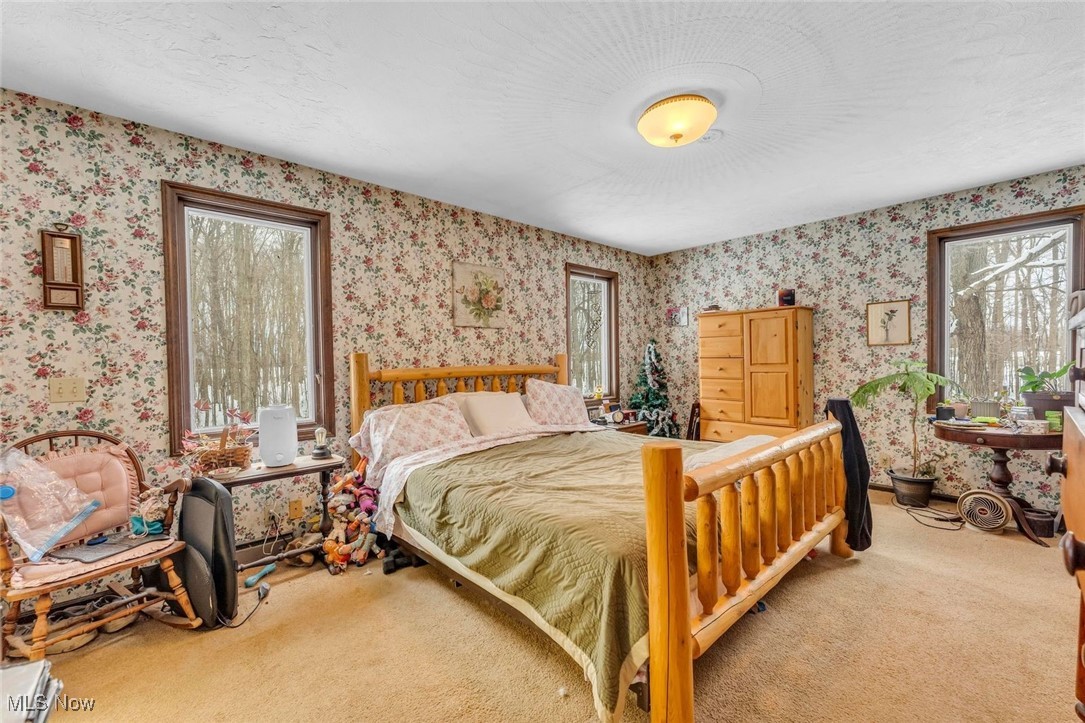 50902 Becker Road Oberlin, OH 44074 - Photo 31 of 48 Gallery Image 31