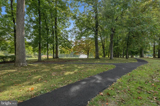 a park bench sitting in the middle of a park