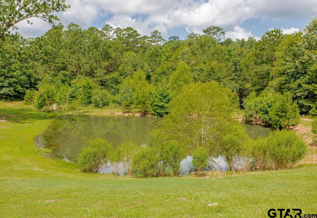 636 Roberson Road Hallsville, TX 75650 - Photo 43 of 46 a view of a garden
