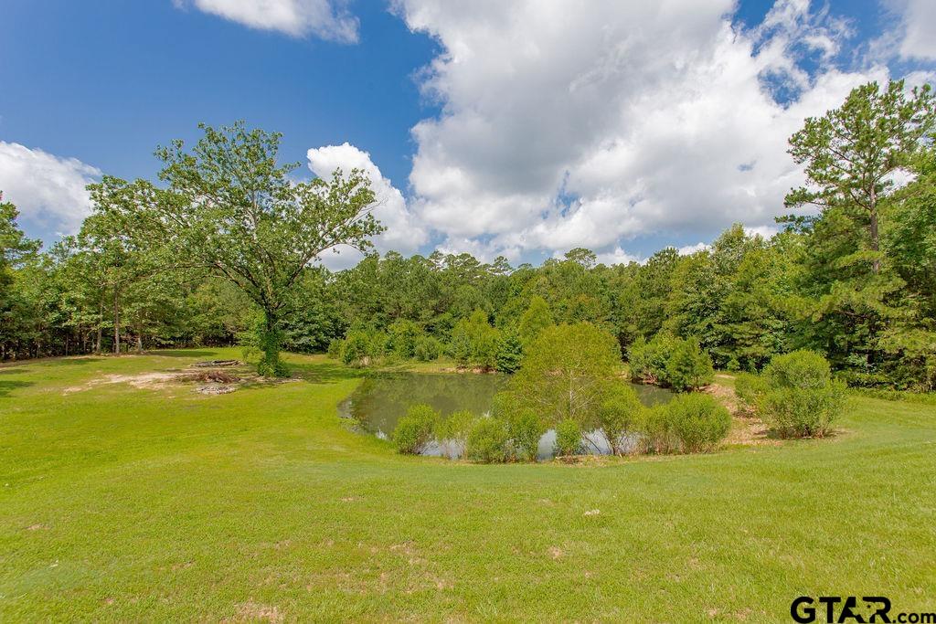 636 Roberson Road Hallsville, TX 75650 - Photo 45 of 46 a view of an ocean and beach