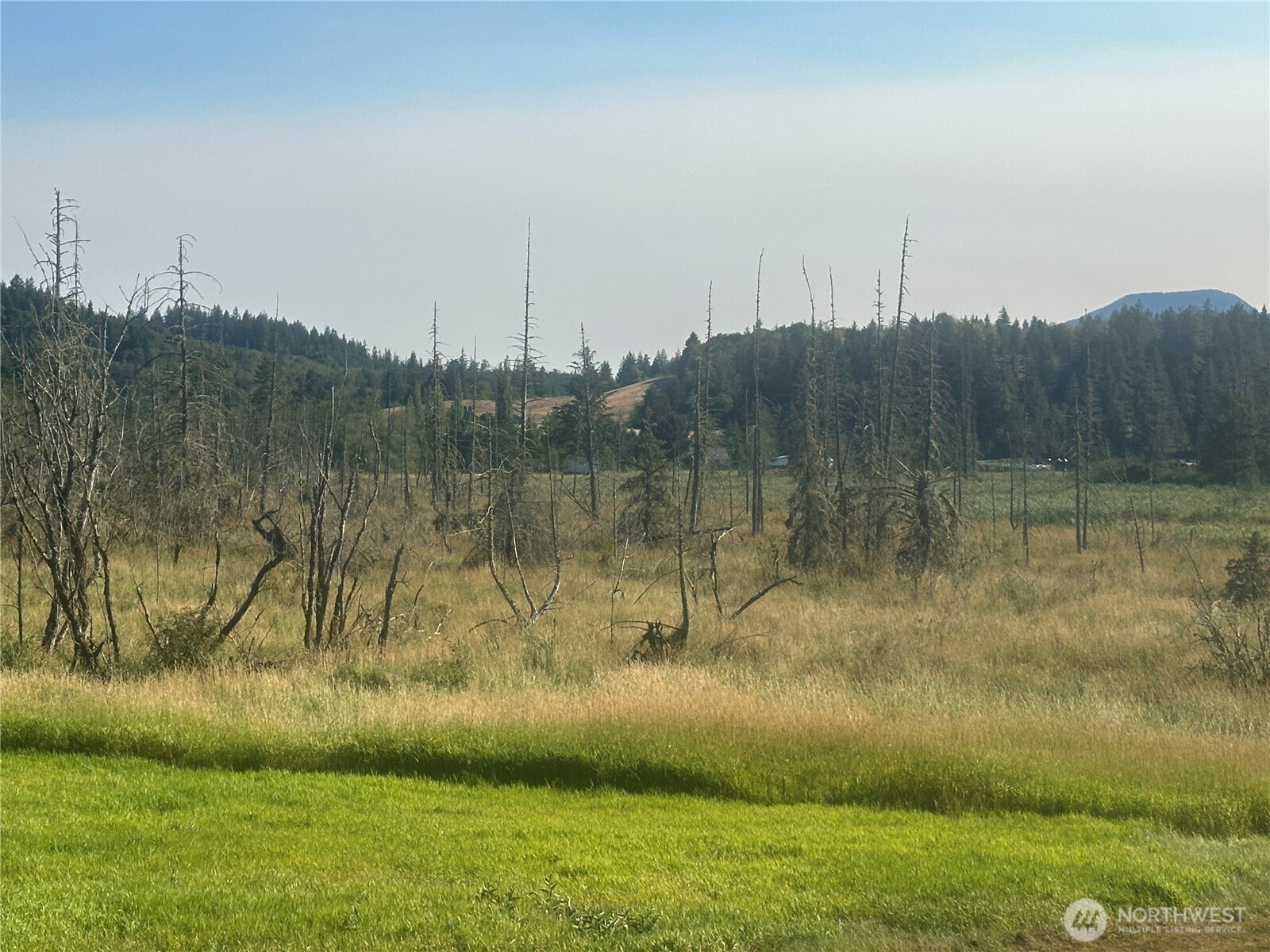720 Leland Valley Road East Quilcene, WA 98376 - Photo 37 of 37 a view of a water with a yard