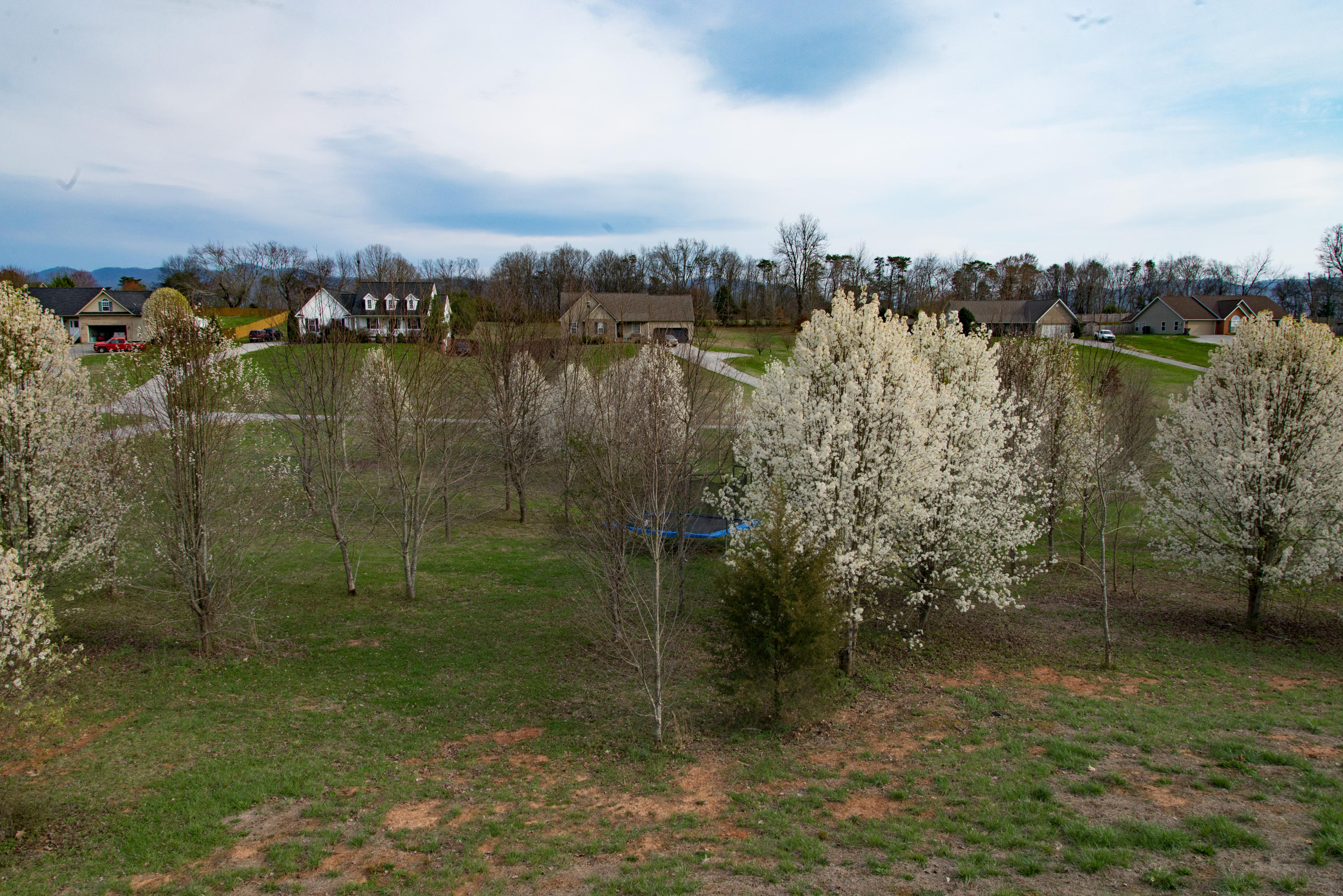 4208 Pea Ridge Road Maryville, TN 37804 - Photo 25 of 26 8402PeaRidgeRd55