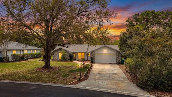 a view of a yard with large trees
