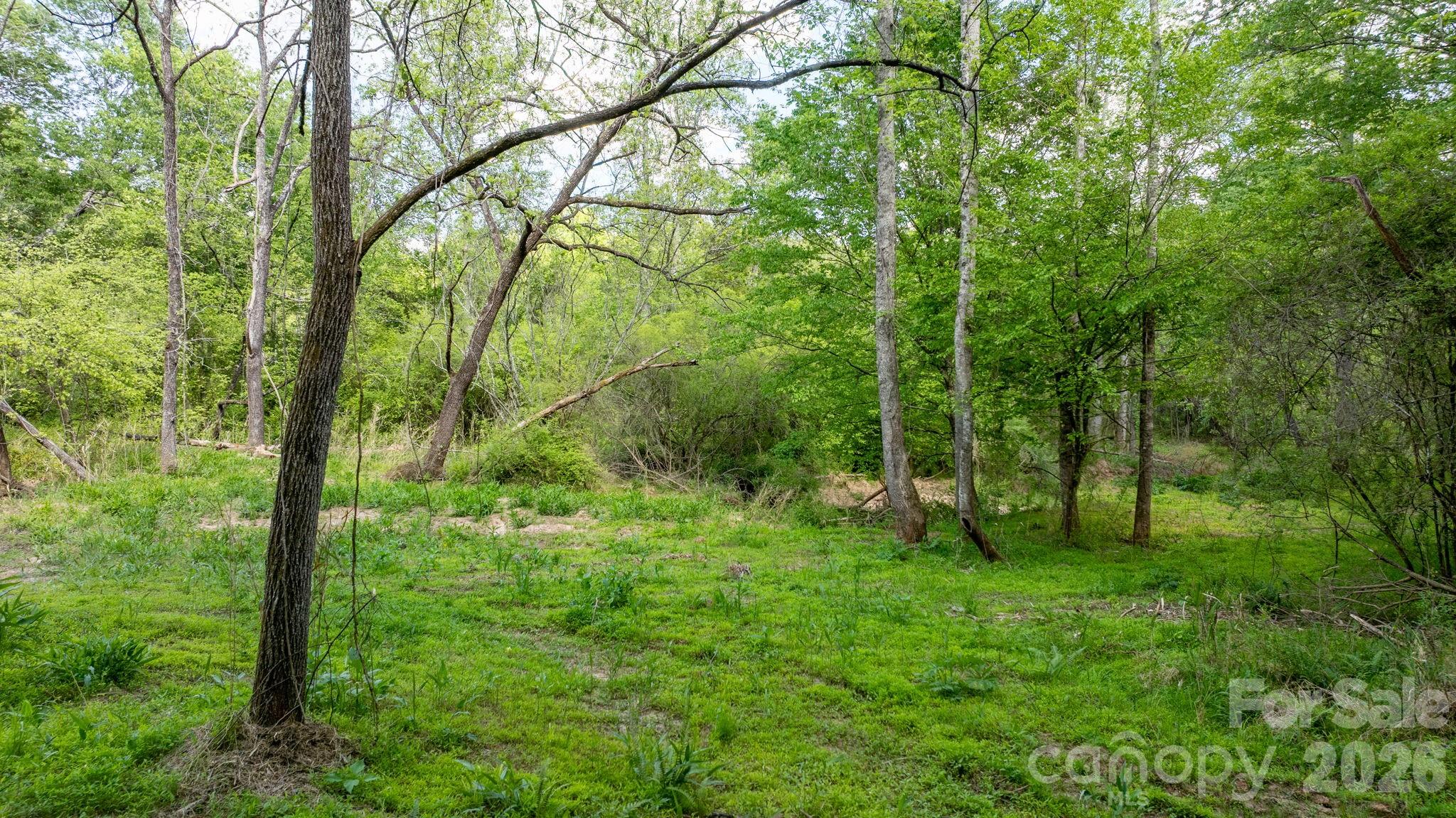 0 Stikeleather Road Hiddenite, NC 28636 - Photo 15 of 28 a view of lush green forest