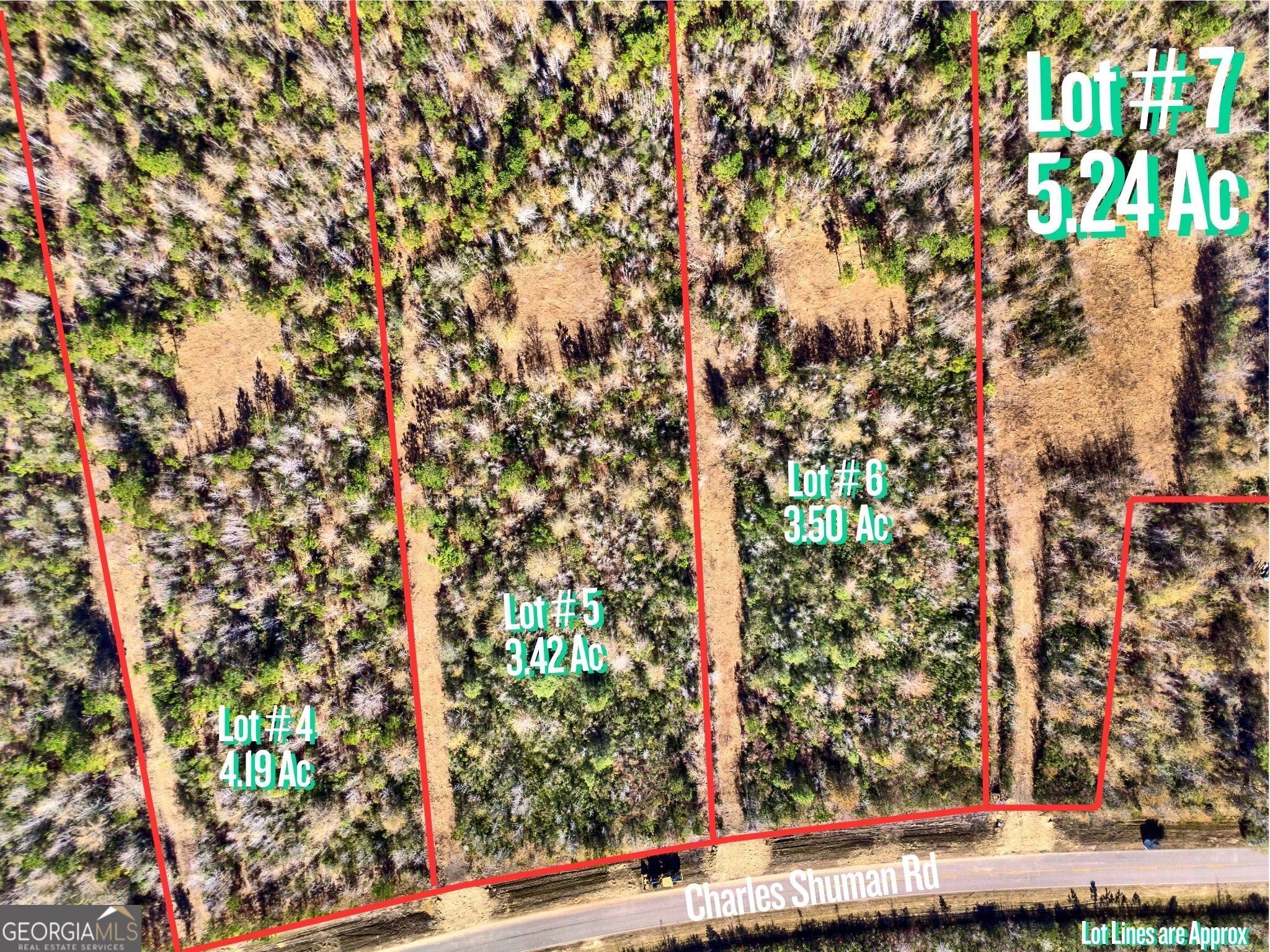 Lot 7 Charles Shuman Road Pembroke, GA 31321 - Photo 2 of 8