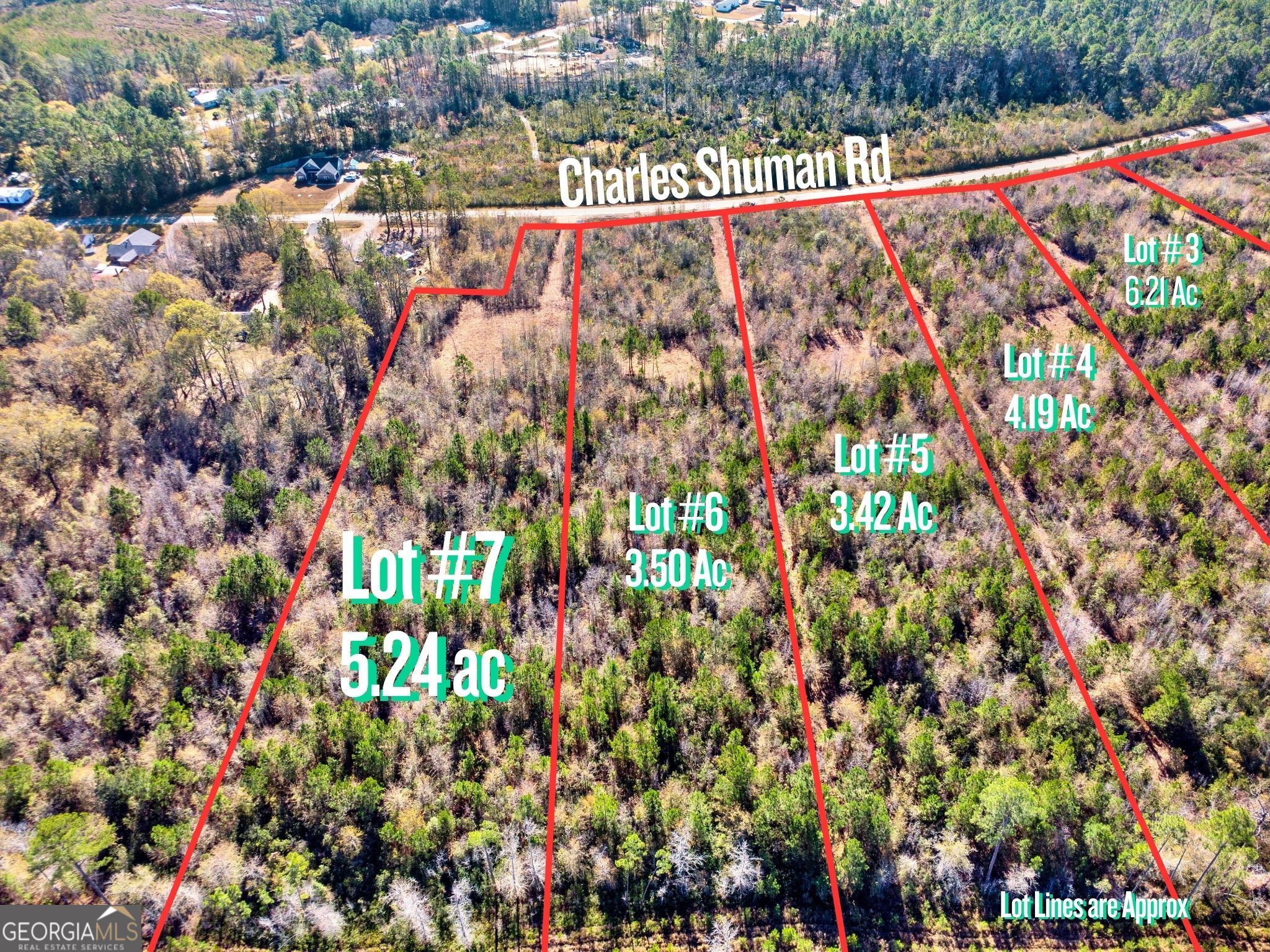 Lot 7 Charles Shuman Road Pembroke, GA 31321 - Photo 3 of 8