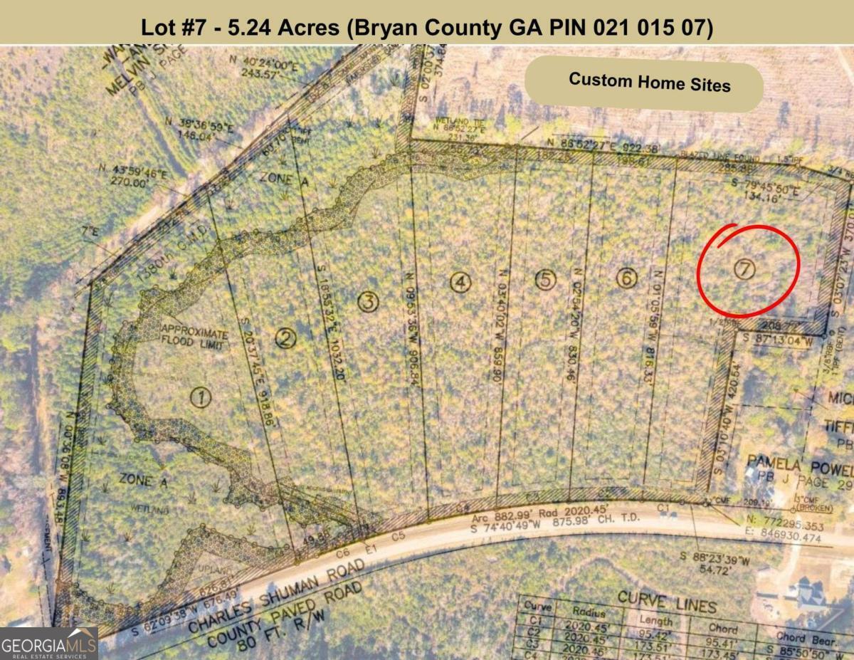 Lot 7 Charles Shuman Road Pembroke, GA 31321 - Photo 7 of 8