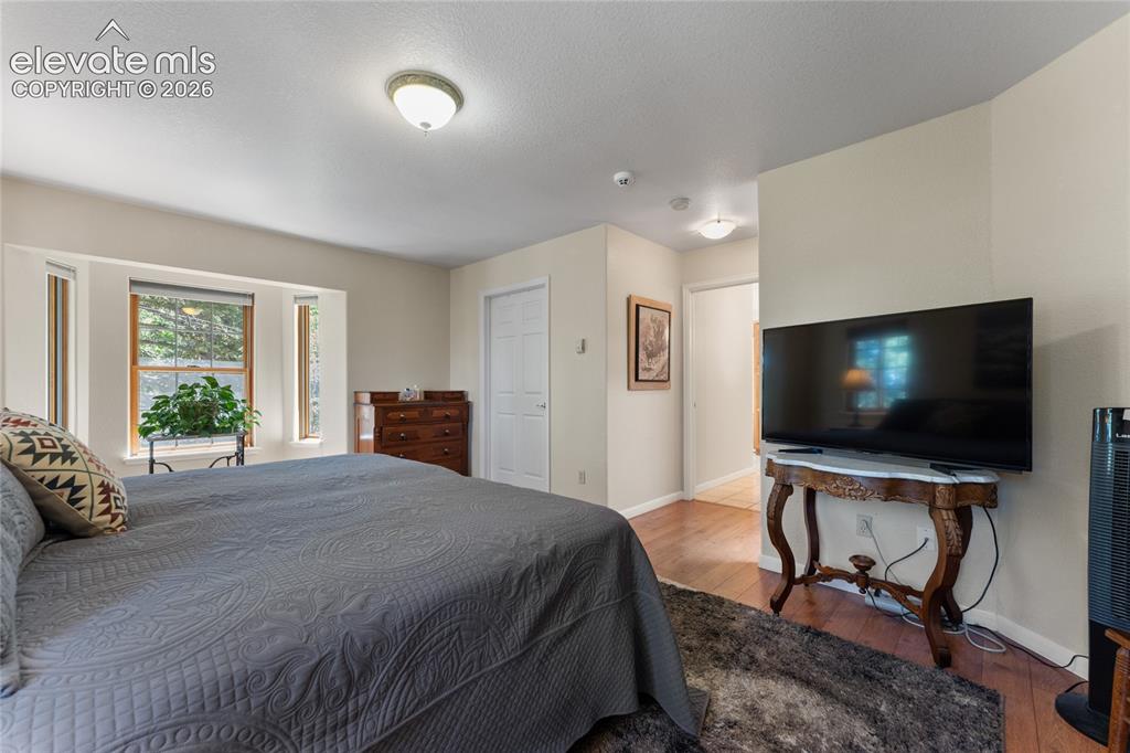 657 Spring Valley Drive Divide, CO 80814 - Photo 11 of 43 Bedroom featuring multiple windows, recessed lighting, and wood-finish flooring