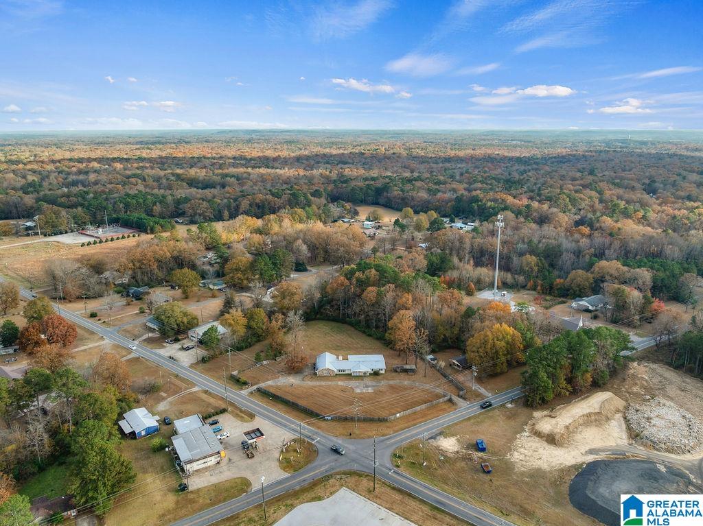 2366 North Walston Bridge Road Jasper, AL 35504 - Photo 50 of 52