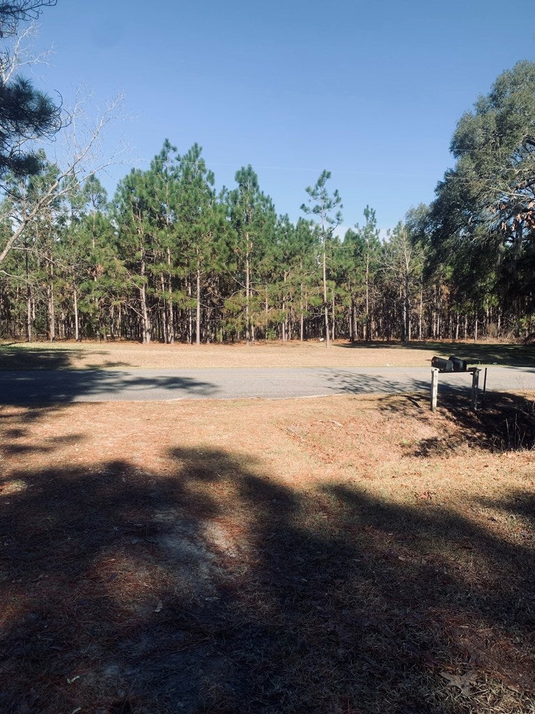 1235 Tired Creek Road Whigham, GA 39897 - Photo 10 of 11 Gallery Image 10