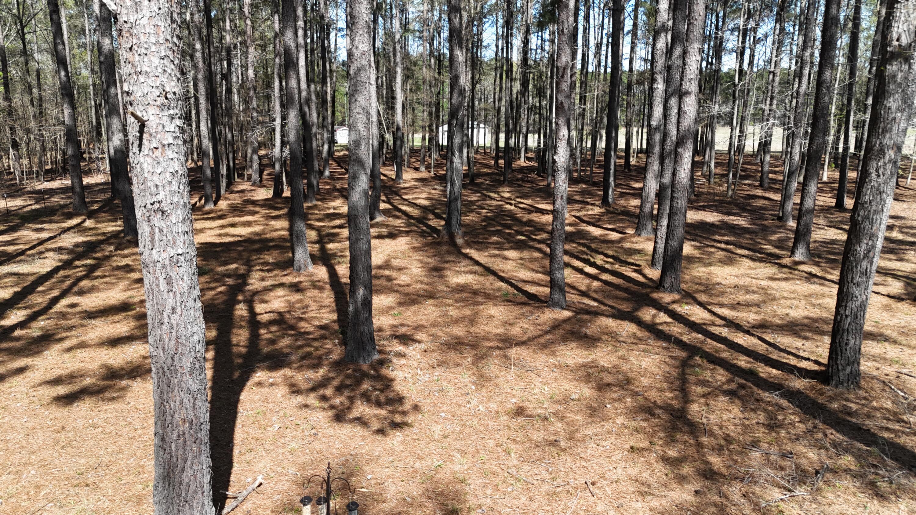 1995 Sam Nexsen Road Summerton, SC 29148 - Photo 63 of 110