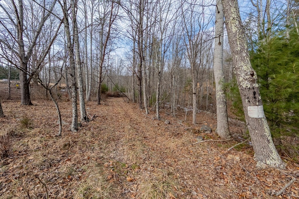 Tbd Spur Branch Road, Unit 4 Dublin, VA 24084 - Photo 12 of 85 Gallery Image 12