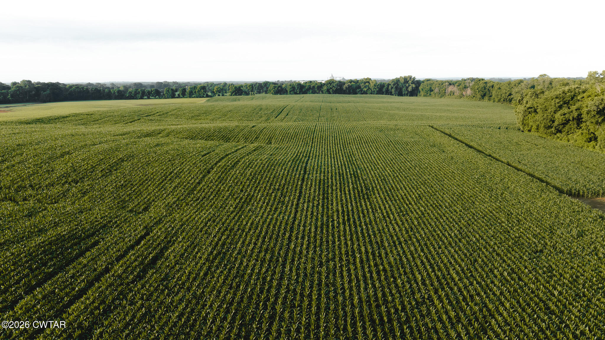 0 Jack Tate Road Obion, TN 38240 - Photo 19 of 23 DJI_20260531140301_0077_D