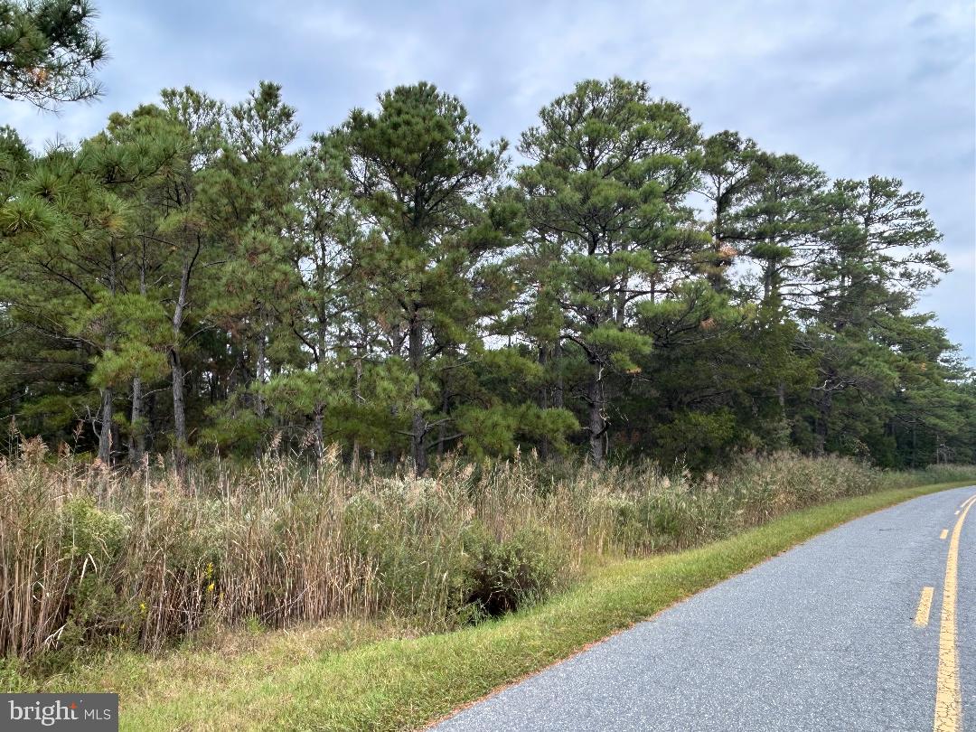 Hudson Road Cambridge, MD 21613 - Photo 2 of 2 a view of a lake with a forest