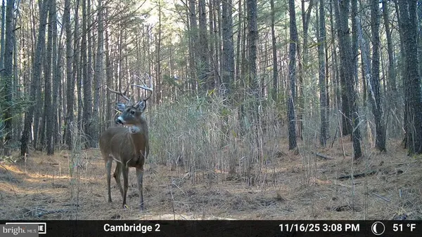 $350,000 | Hudson Road, Cambridge, MD 21613