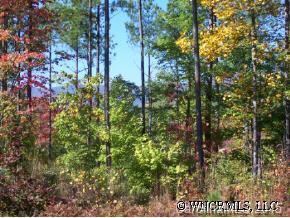 Lot 9 Ridge Rd Mill Spring Mill Spring, NC 28756 - Photo 2 of 4 a view of forest