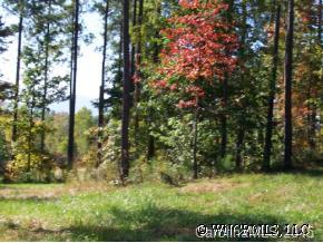 Lot 9 Ridge Rd Mill Spring Mill Spring, NC 28756 - Photo 3 of 4 a view of a yard