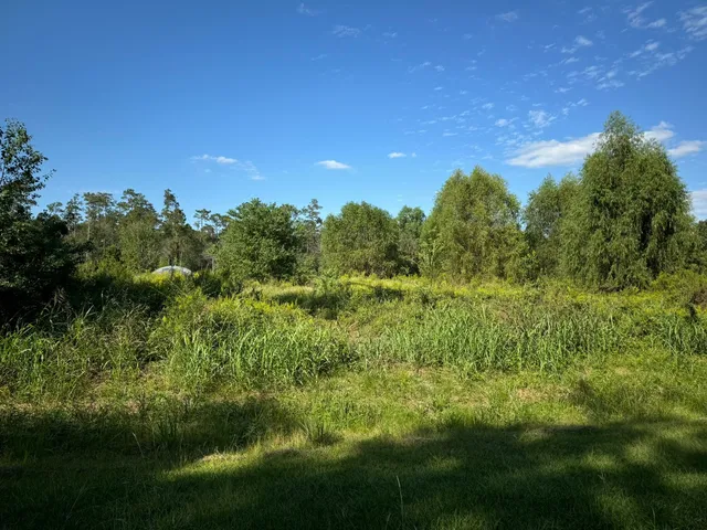 $35,000 | Lot 70 Pine Park Boulevard, Orange, TX 77632