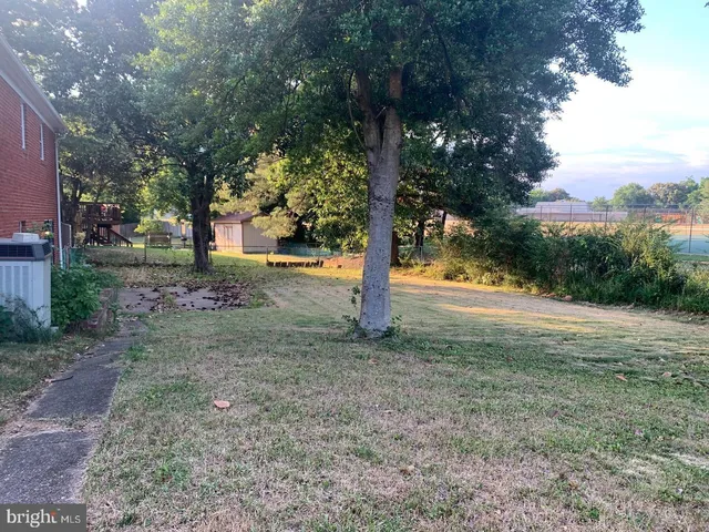 a view of a yard with a tree