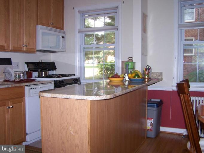 2300 Colston Drive, Unit 101 Silver Spring, MD 20910 - Photo 3 of 10 Kitchen #2