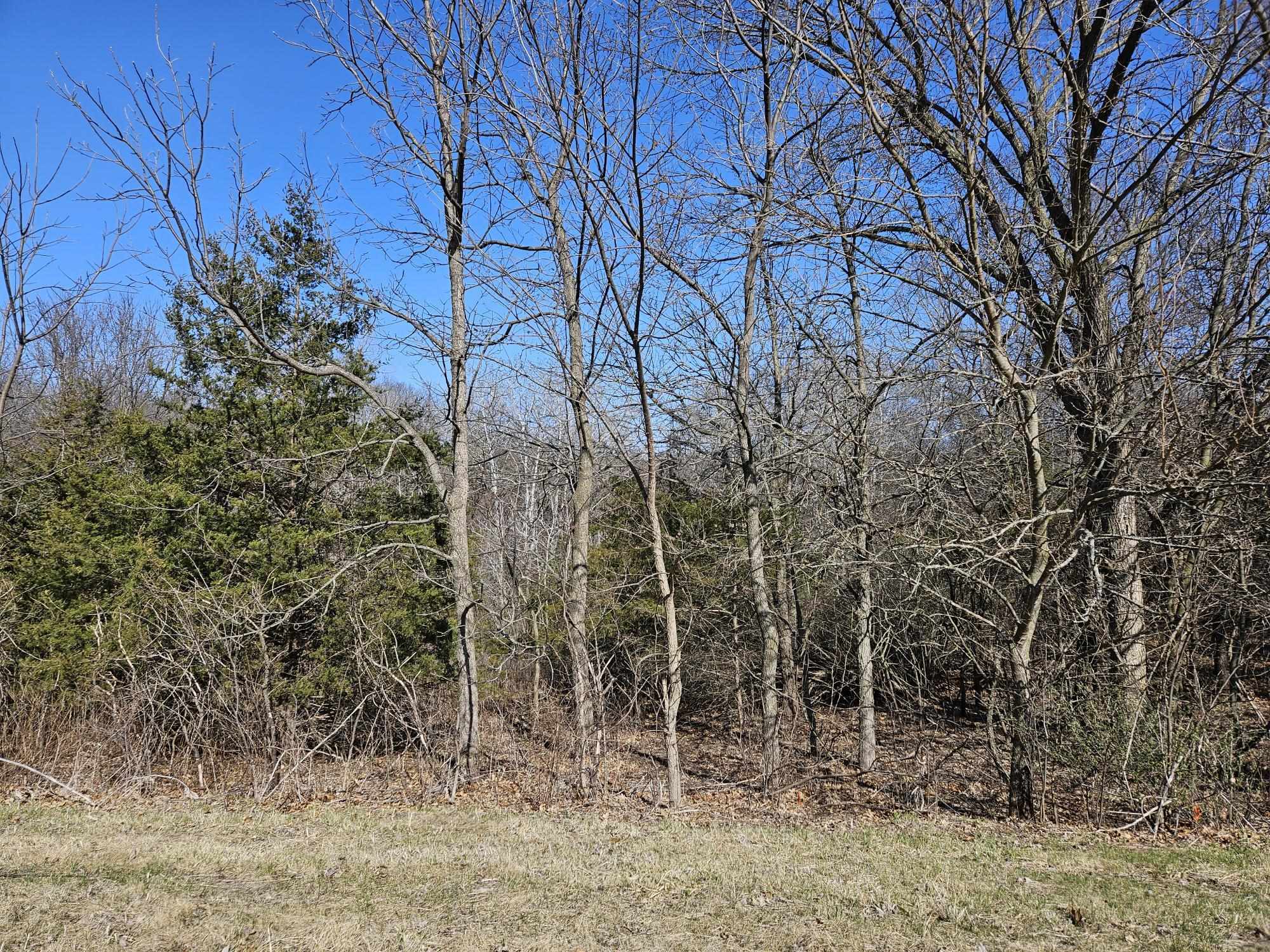 1 Lake Ridge Road Galena, IL 61036 - Photo 1 of 5 Gallery Image 1