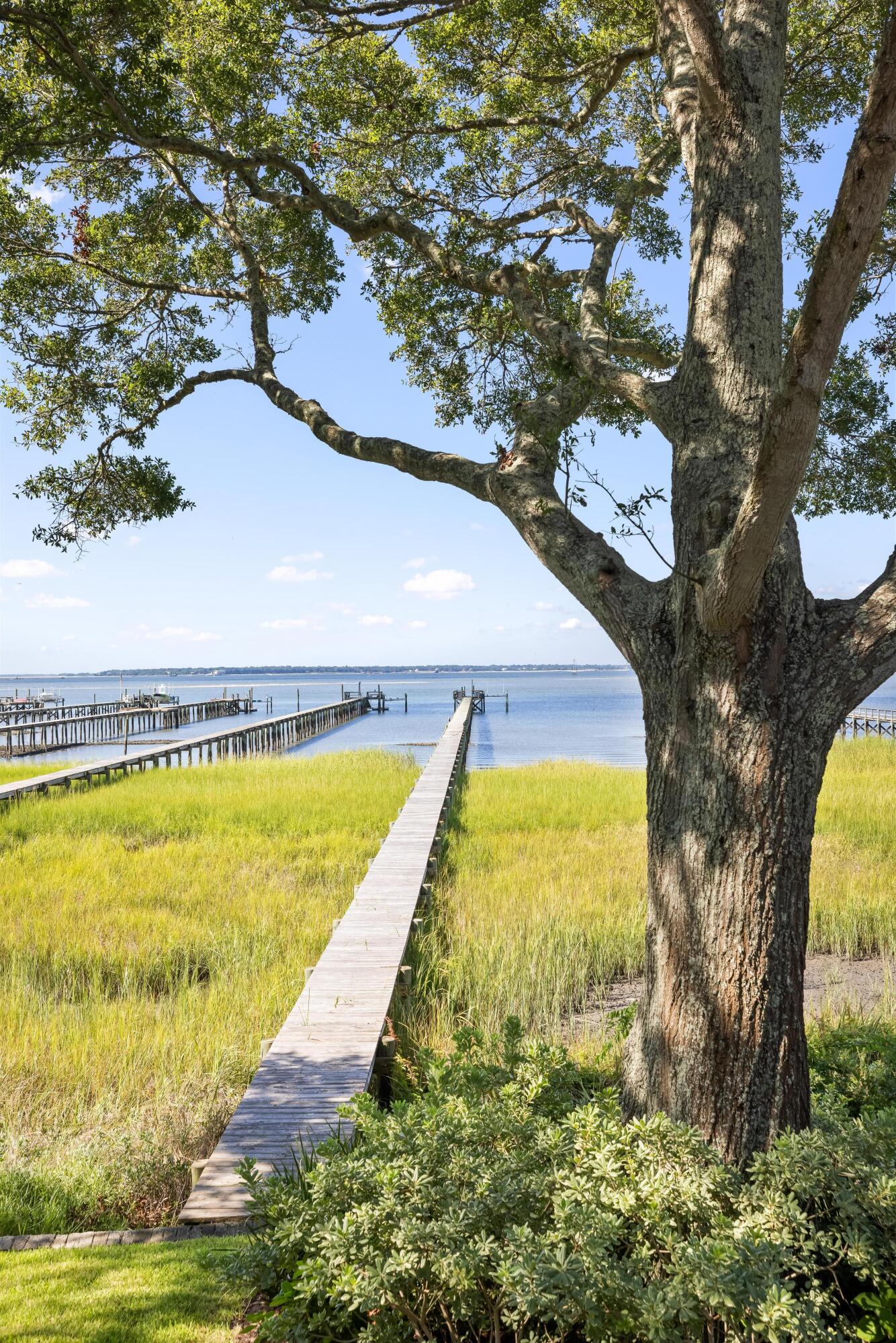 202 Bank Street Mount Pleasant, SC 29464 - Photo 56 of 62 109504-EllisCreekPhotography-118