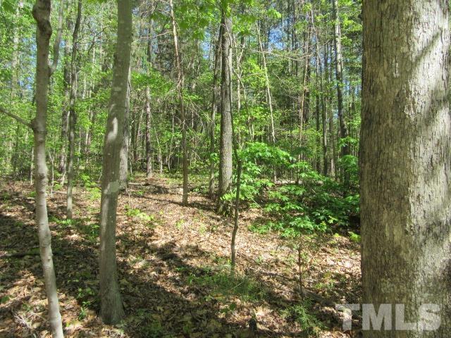 9563 George Ruff Road Bullock, NC 27507 - Photo 3 of 5 a view of a garden