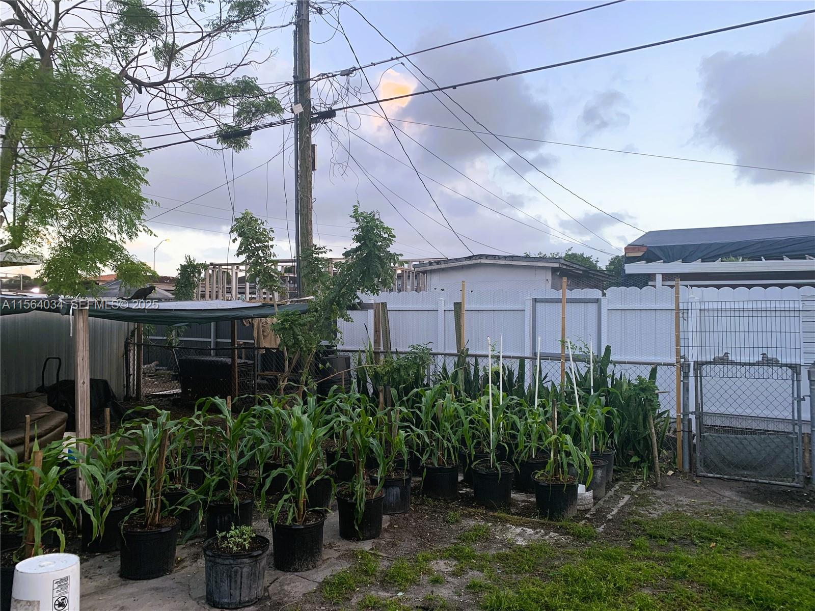 662 East 21st Street Hialeah, FL 33013 - Photo 21 of 21 a view of a backyard with plants