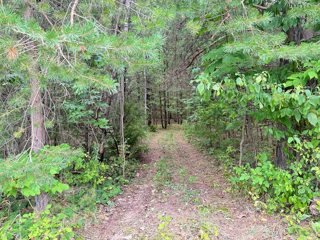 5-acres Logerquist Road Baileys Harbor, WI 54202 - Photo 2 of 13