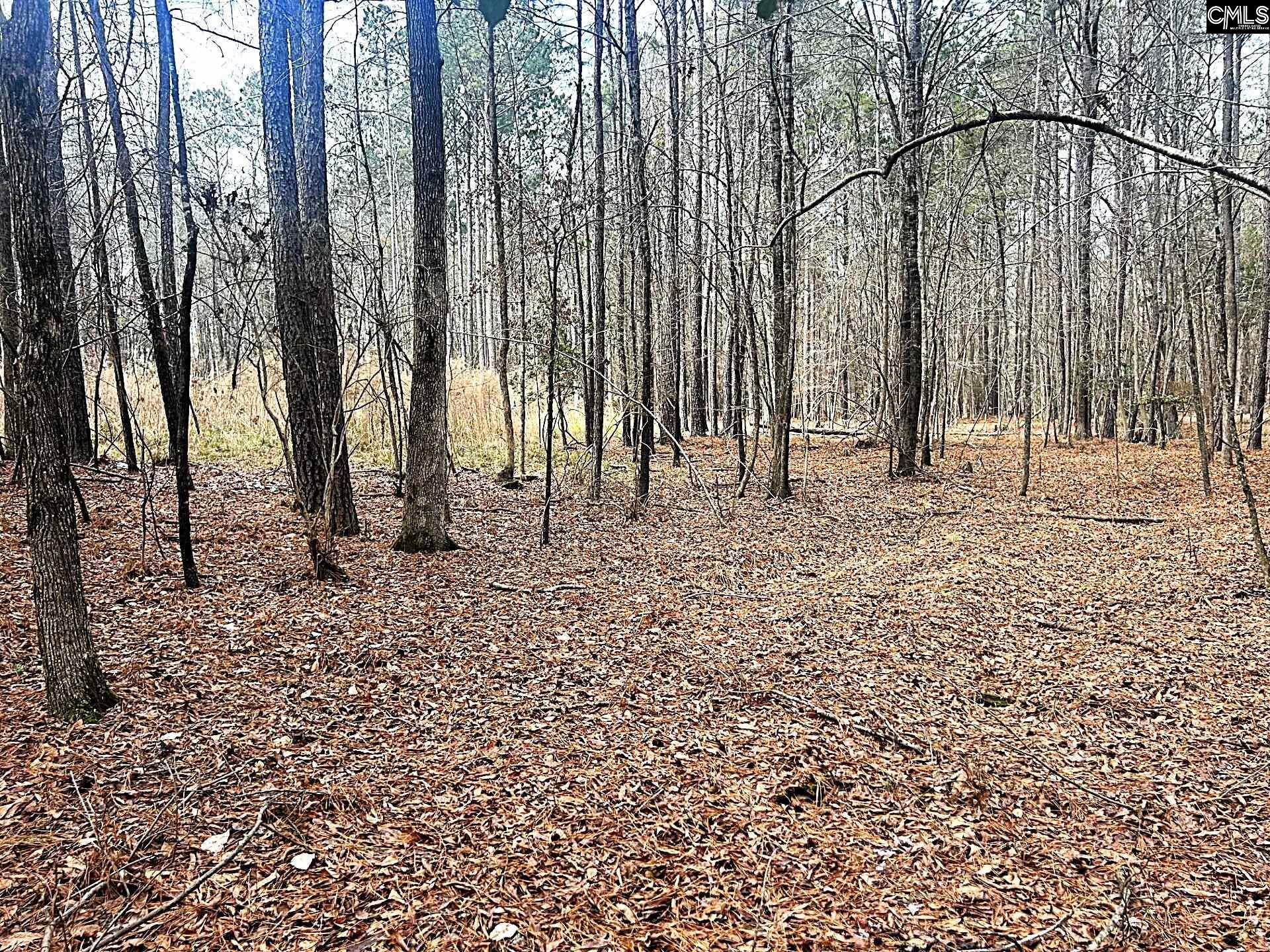 0 Circle H Woods Road Prosperity, SC 29127 - Photo 9 of 21