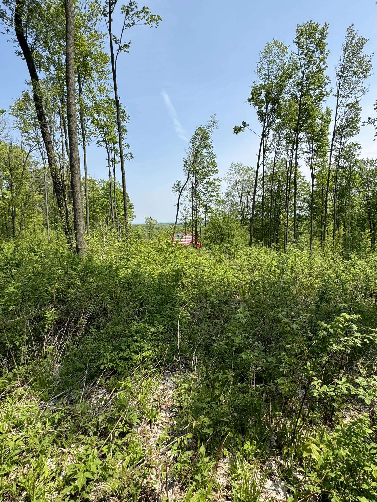 12499 23 Mile Road Tustin, MI 49688 - Photo 63 of 76 1922802-e132db51-e4d6-4f33-bec6-b70e66ad05b9.JPG