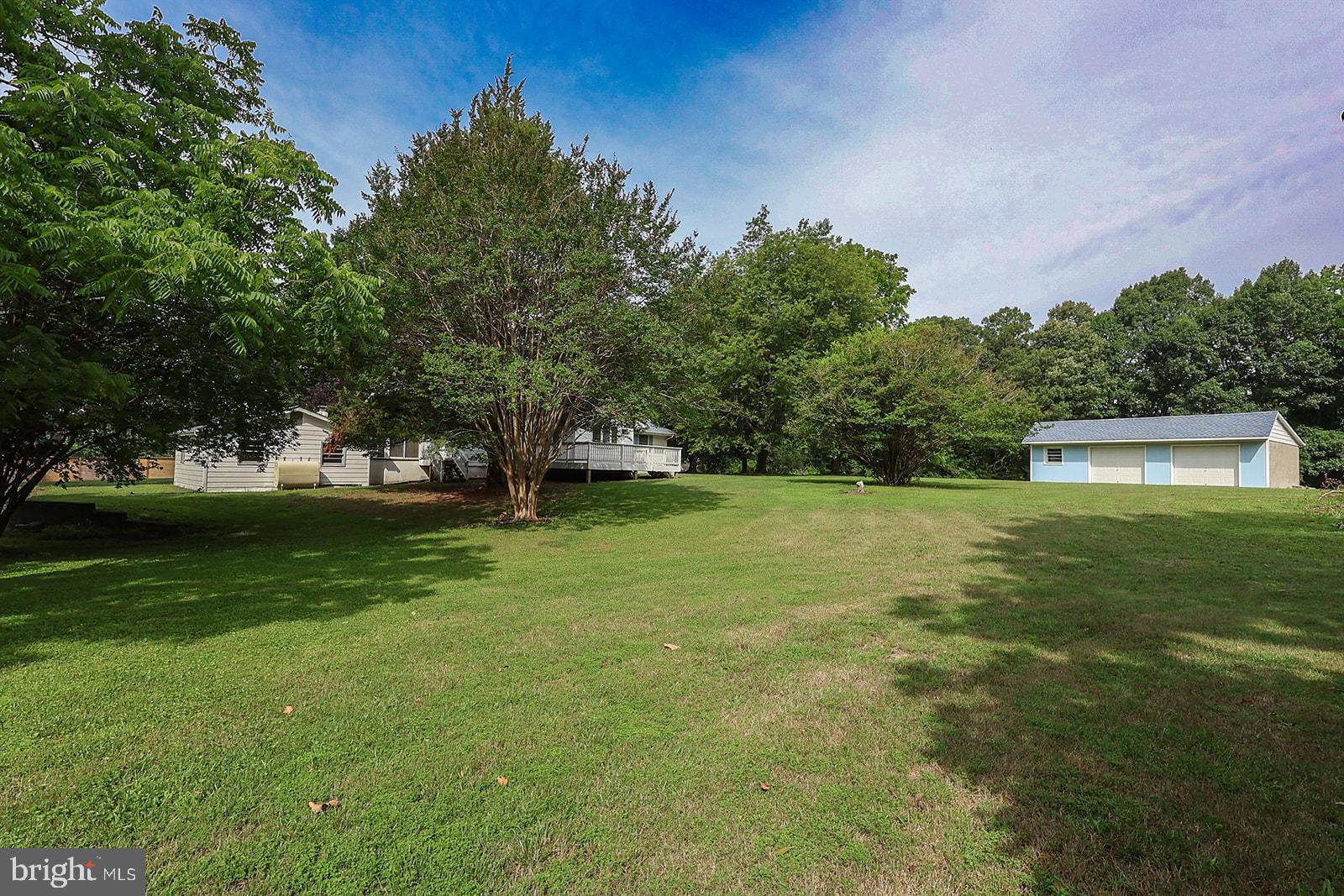 48146 Mallard View Lane St. Inigoes, MD 20684 - Photo 41 of 46 Spacious green oasis with serene trees.