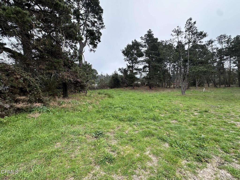 a view of a green yard