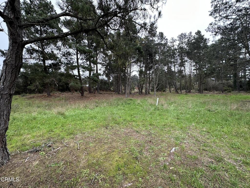 32875 Simpson Lane Fort Bragg, CA 95437 - Photo 2 of 4 a view of a green field with trees in the background