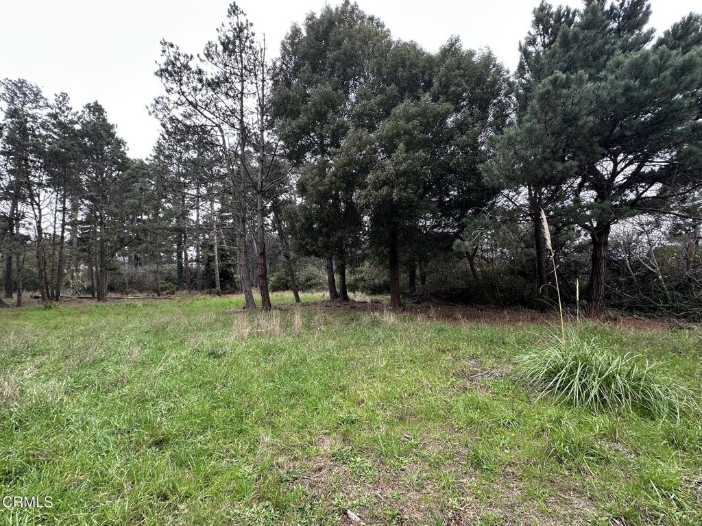 32875 Simpson Lane Fort Bragg, CA 95437 - Photo 3 of 4 a view of backyard with green space