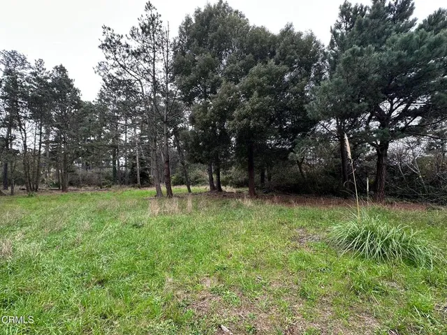 a view of backyard with green space