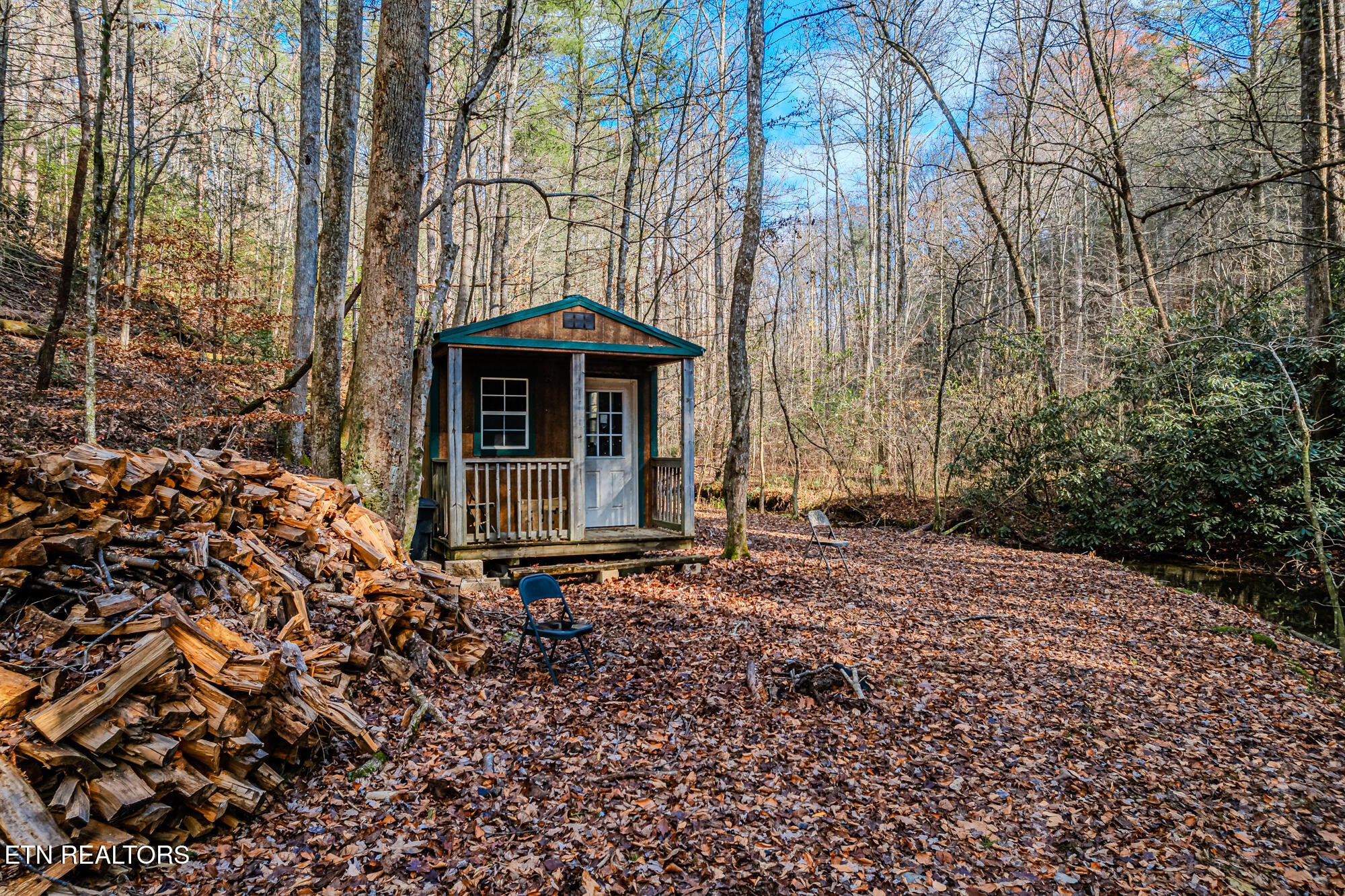 0 Pond Ridge Road Tellico Plains, TN 37385 - Photo 8 of 32